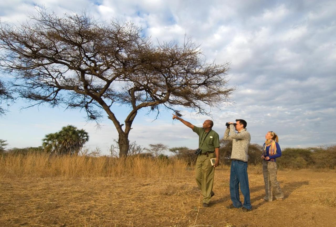 Severin Safari Camp Tsavo West National Park Eksteriør billede